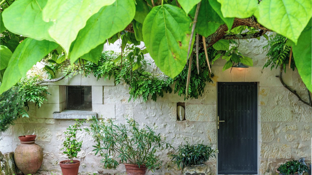Photo of Outdoor in Crouzilles
