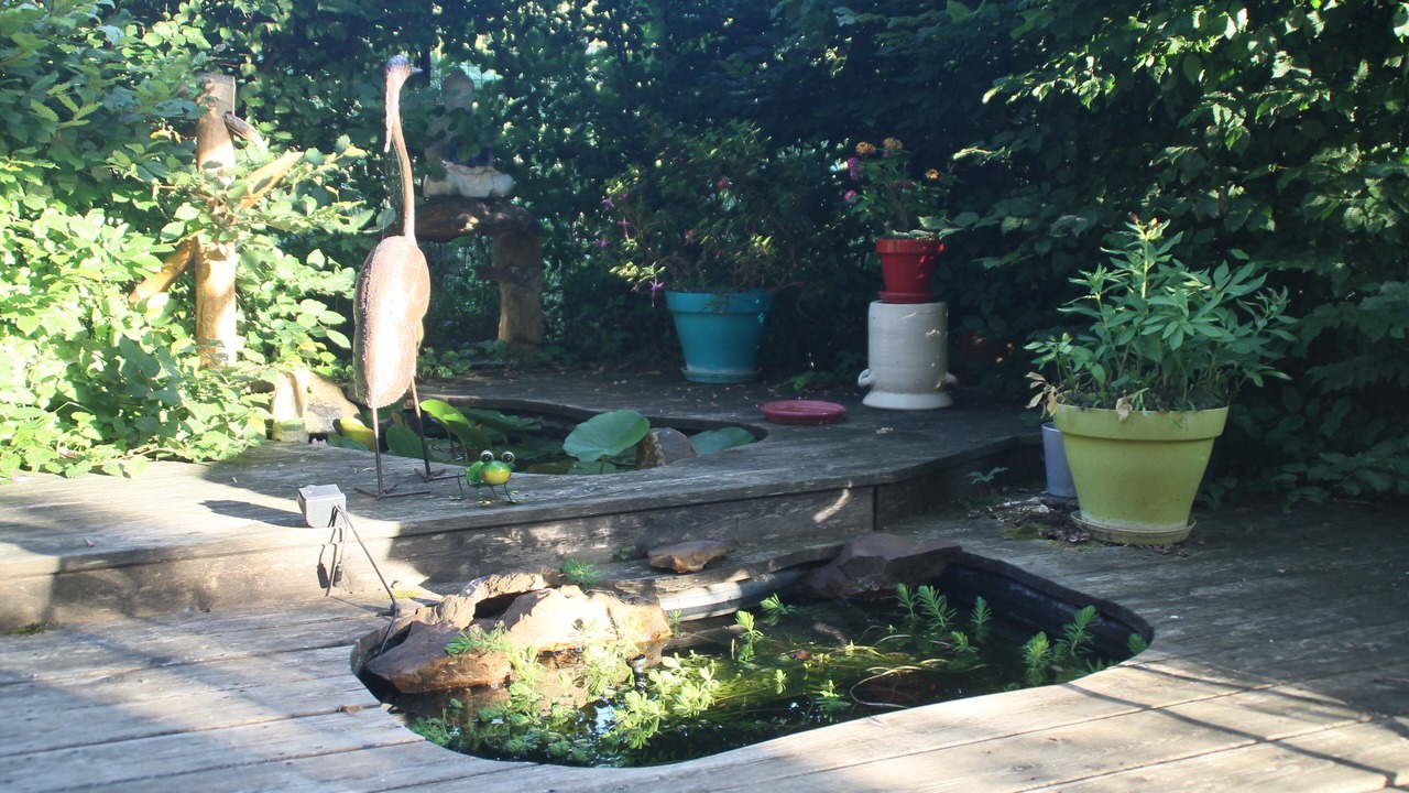 Photo of Outdoor in Sainte-Colombe-sur-Loing