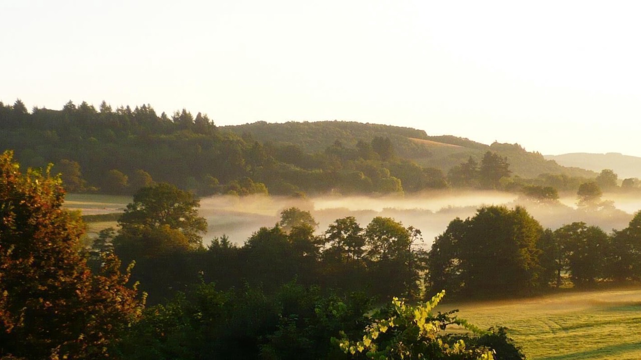 Photo of Others in Saint-Leger-sous-Beuvray
