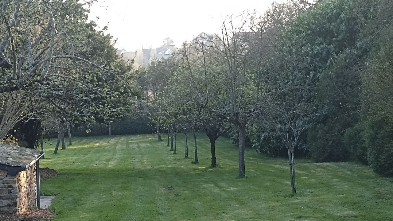 Photo of Outdoor in Saint-Brice