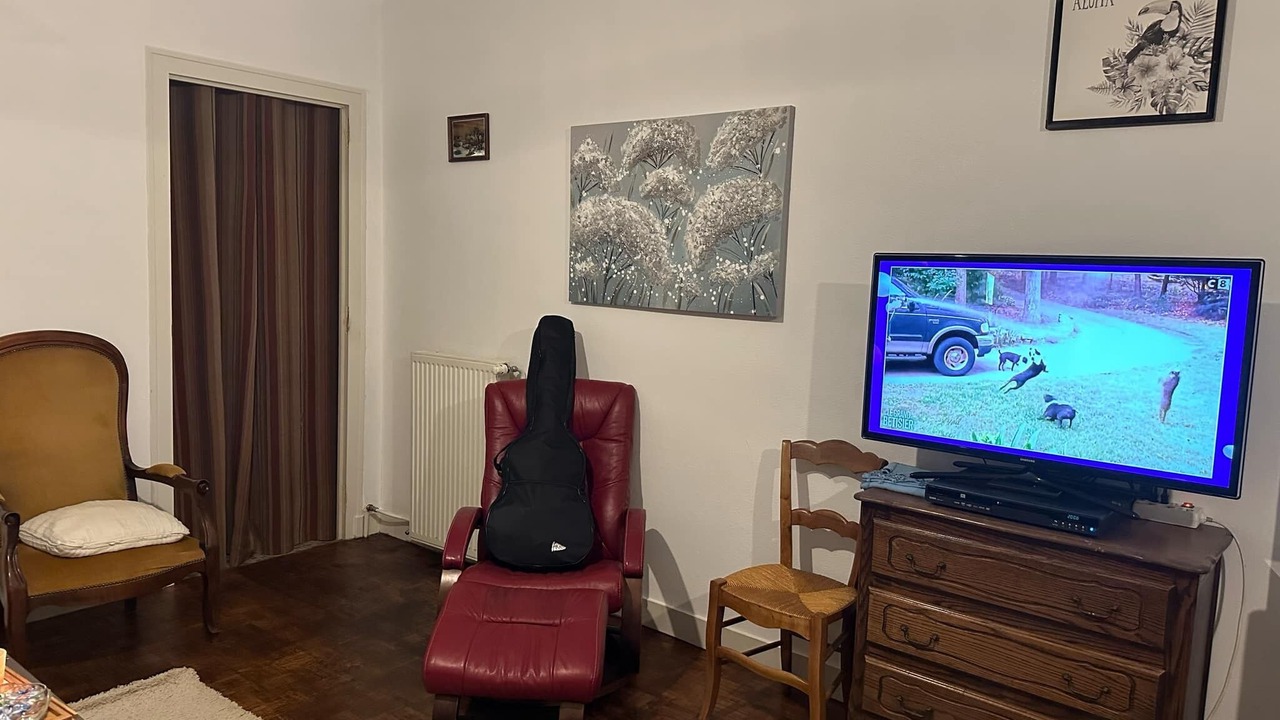 Photo of Livingroom in Peyrat-le-Chateau