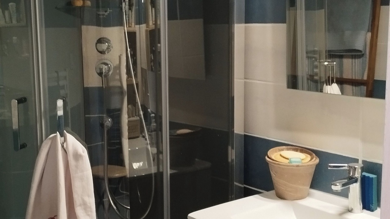Photo of Bathroom in Saint-Julien-la-Geneste