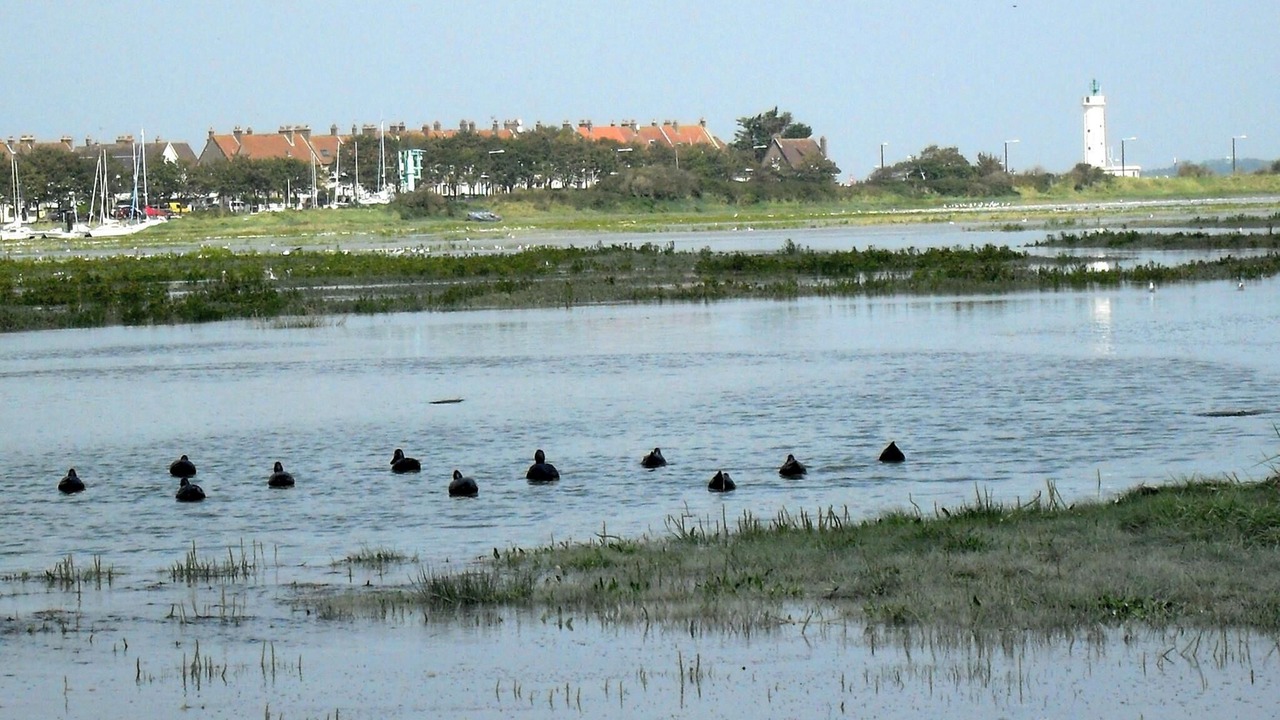 Photo of Others in Cayeux-sur-Mer