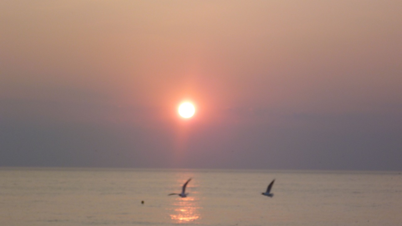 Photo of Others in Cayeux-sur-Mer