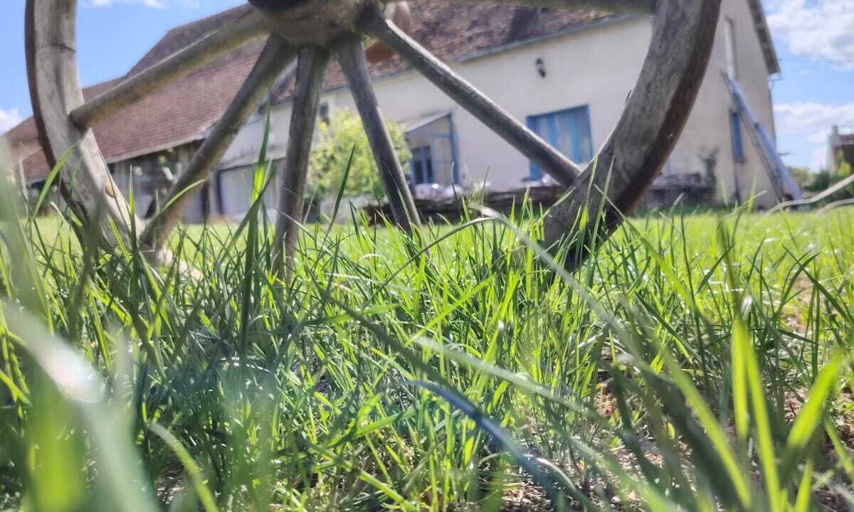 Photo of Outdoor in Treigny