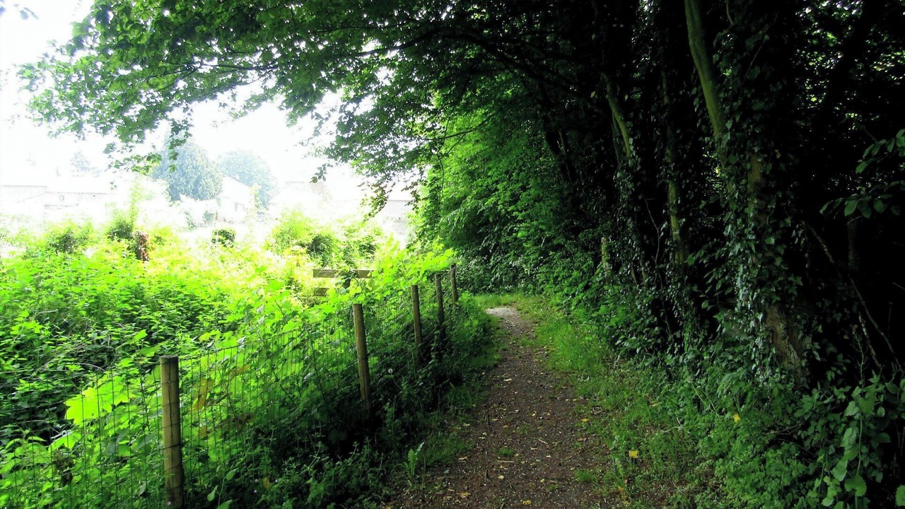 Photo of Outdoor in Beaufort
