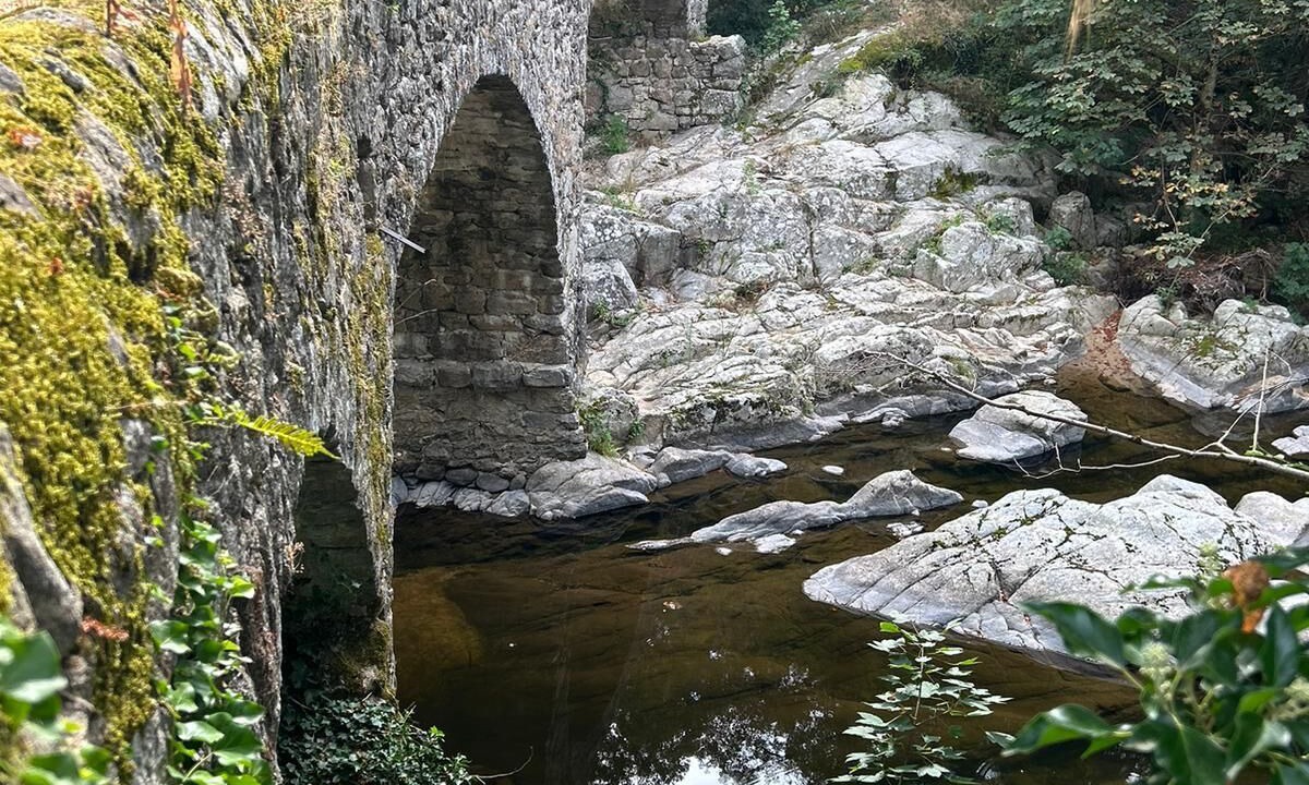 Photo of Others in Saint-Apollinaire-de-Rias