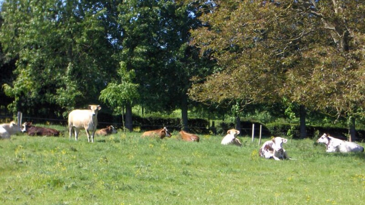 Photo of Others in Petit-Caux