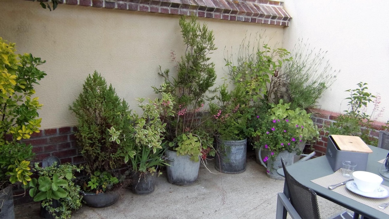 Photo of Outdoor in Petit-Caux