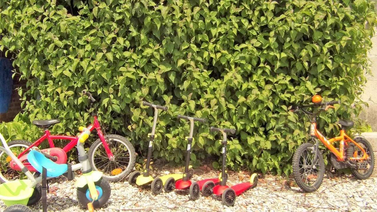 Photo of Others in Petit-Caux