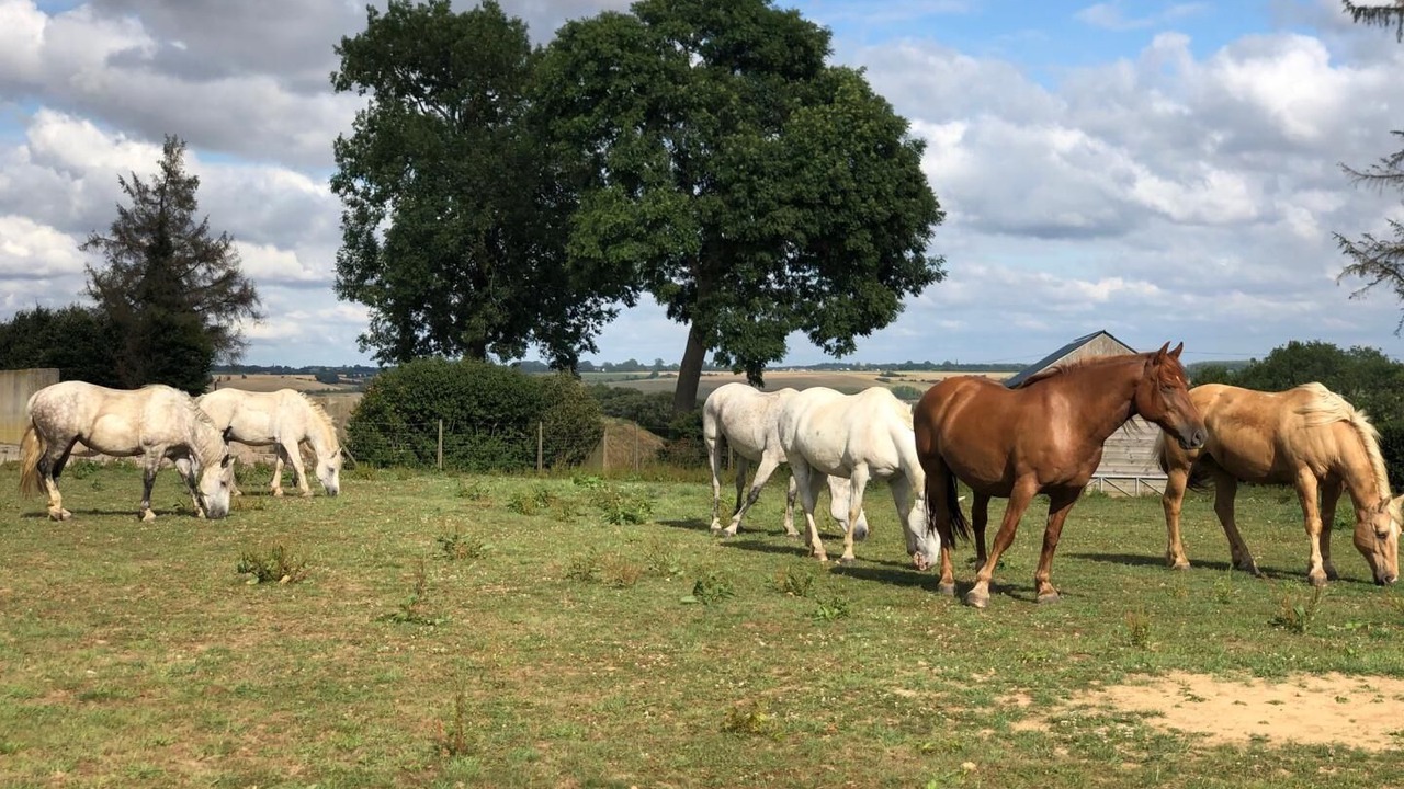 Photo of Others in Foucarmont