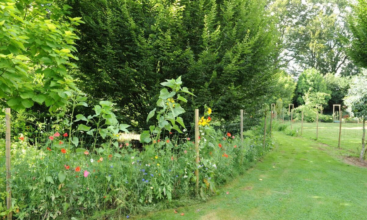 Photo of Outdoor in Gonneville-sur-Scie
