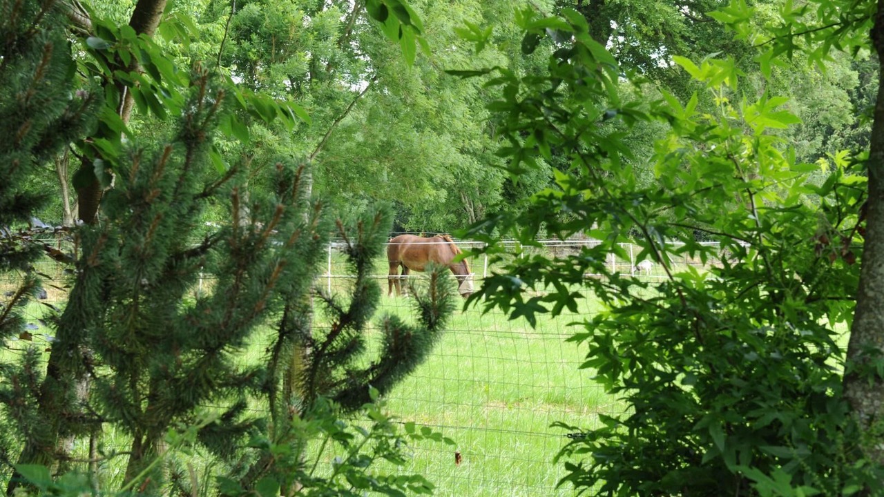 Photo of Others in Gonneville-sur-Scie