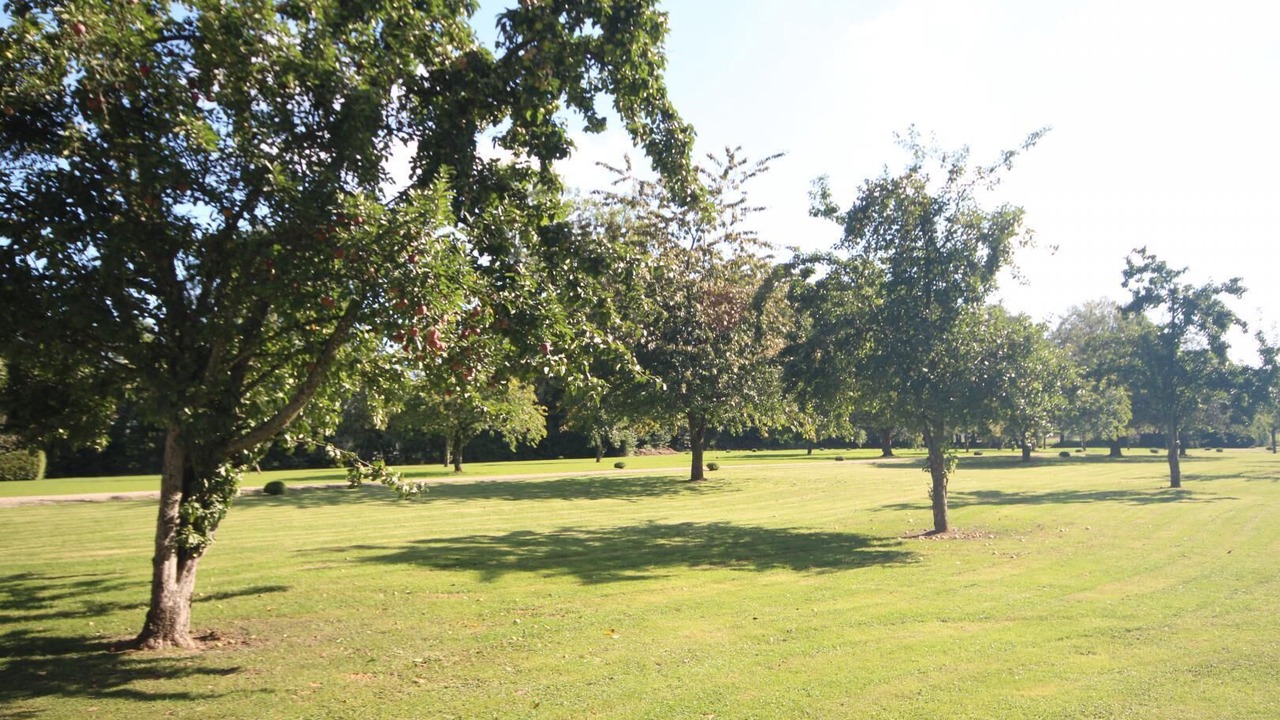 Photo of Others in Cottevrard