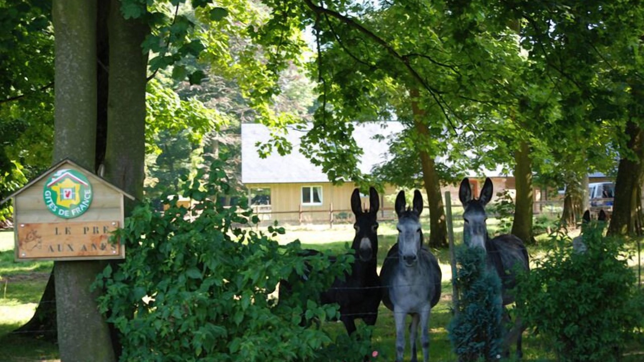 Photo of Others in Sainte-Marguerite-sur-Fauville