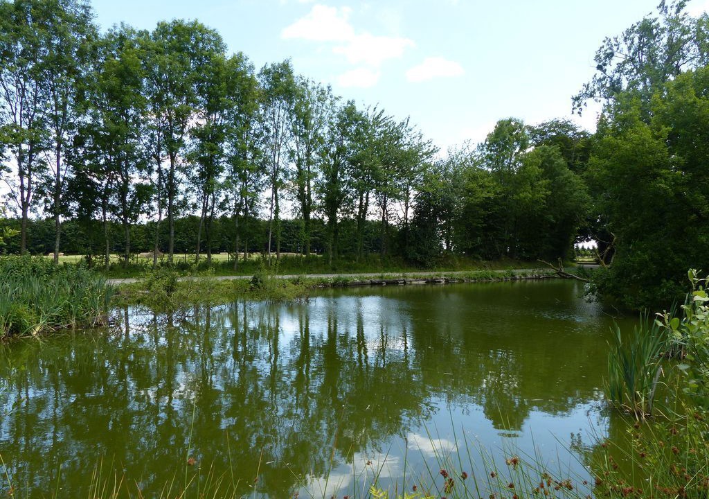 Photo of Others in Cottevrard