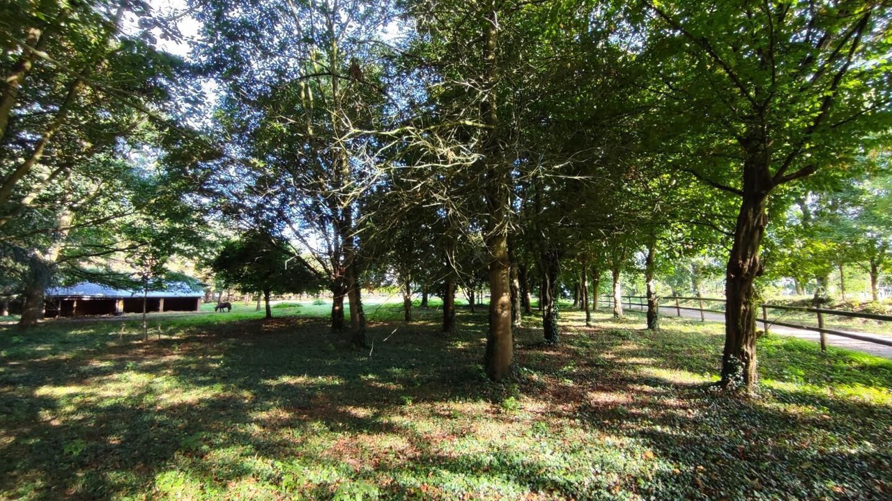 Photo of Others in Octeville-sur-Mer