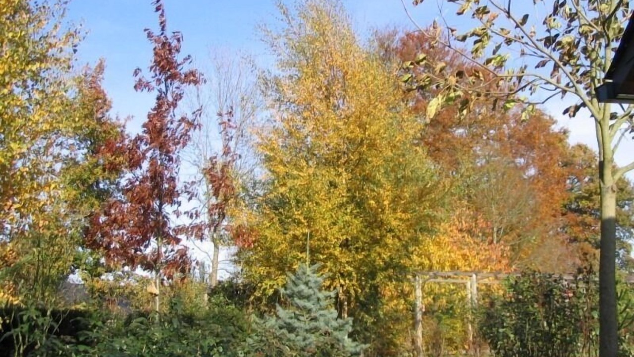 Photo of Outdoor in Ectot-lʼAuber