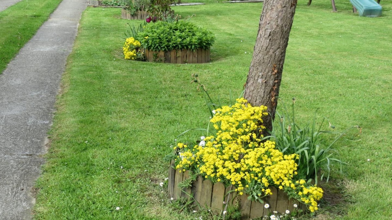 Photo of Outdoor in Saint-Leonard