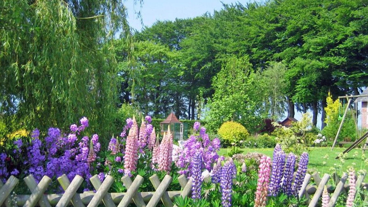 Photo of Outdoor in Gerville