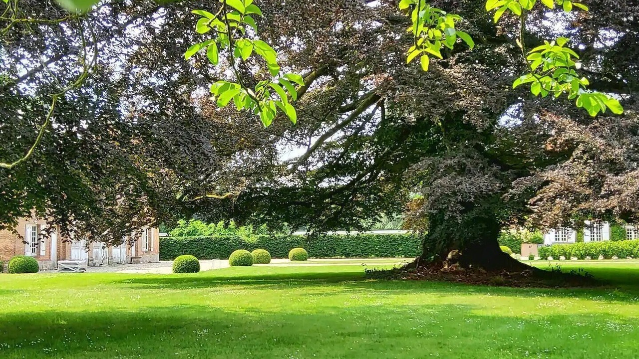 Photo of Outdoor in Cottevrard