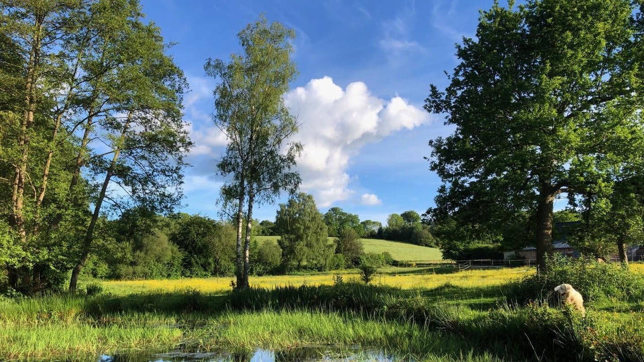 Photo of Others in Mesnil-Mauger
