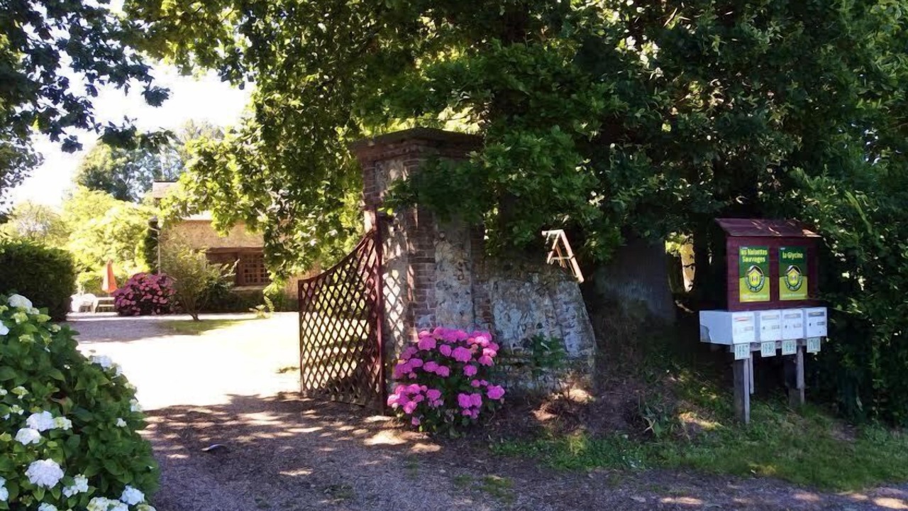 Photo of Outdoor in Villainville