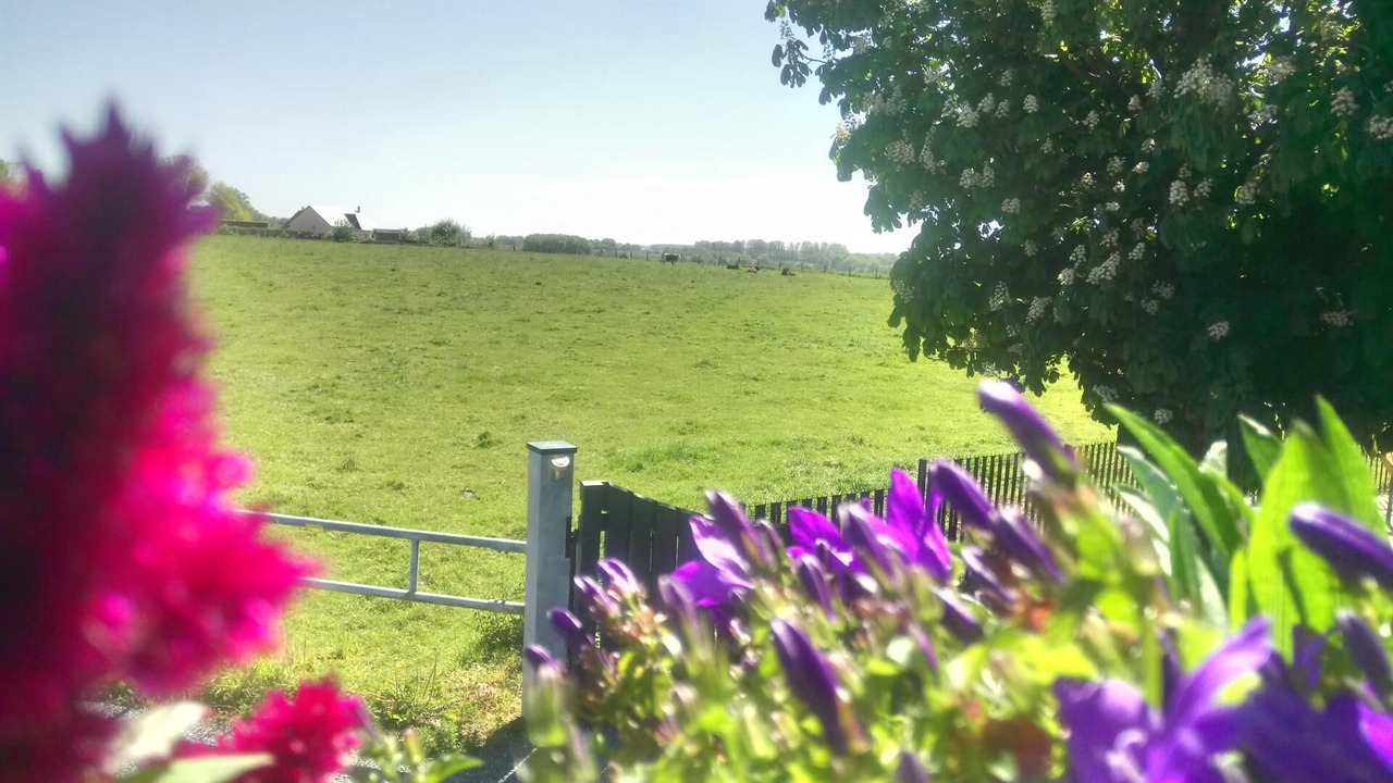 Photo of Outdoor in Saint-Martin-de-l'If