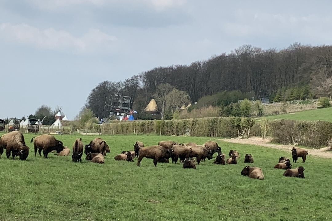 Photo of Others in La Chapelle-du-Bourgay