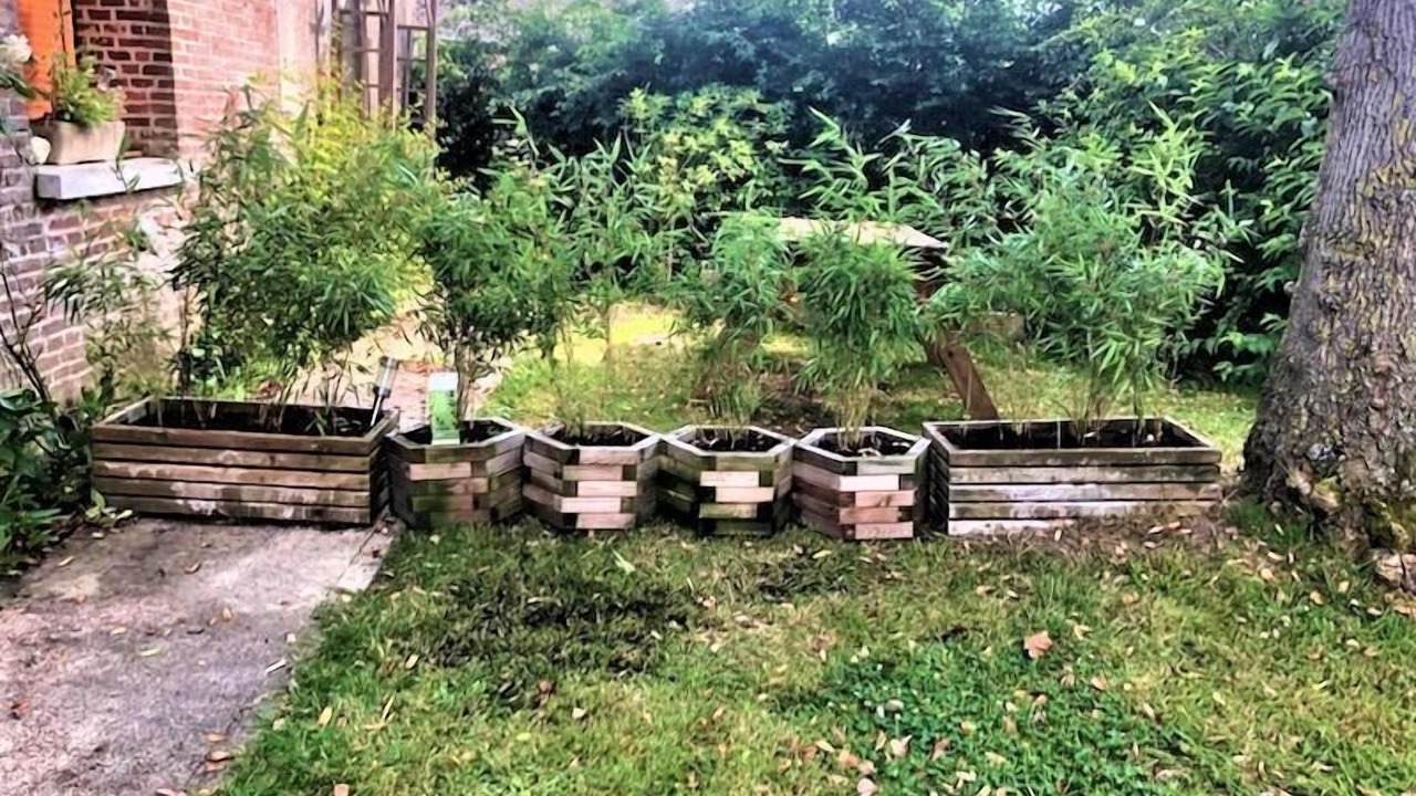 Photo of Outdoor in Realcamp