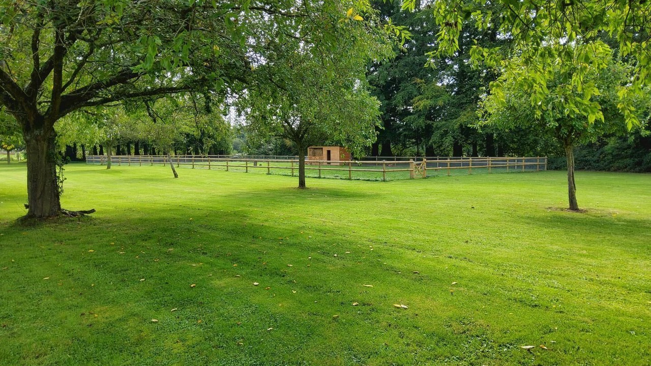 Photo of Outdoor in Cottevrard