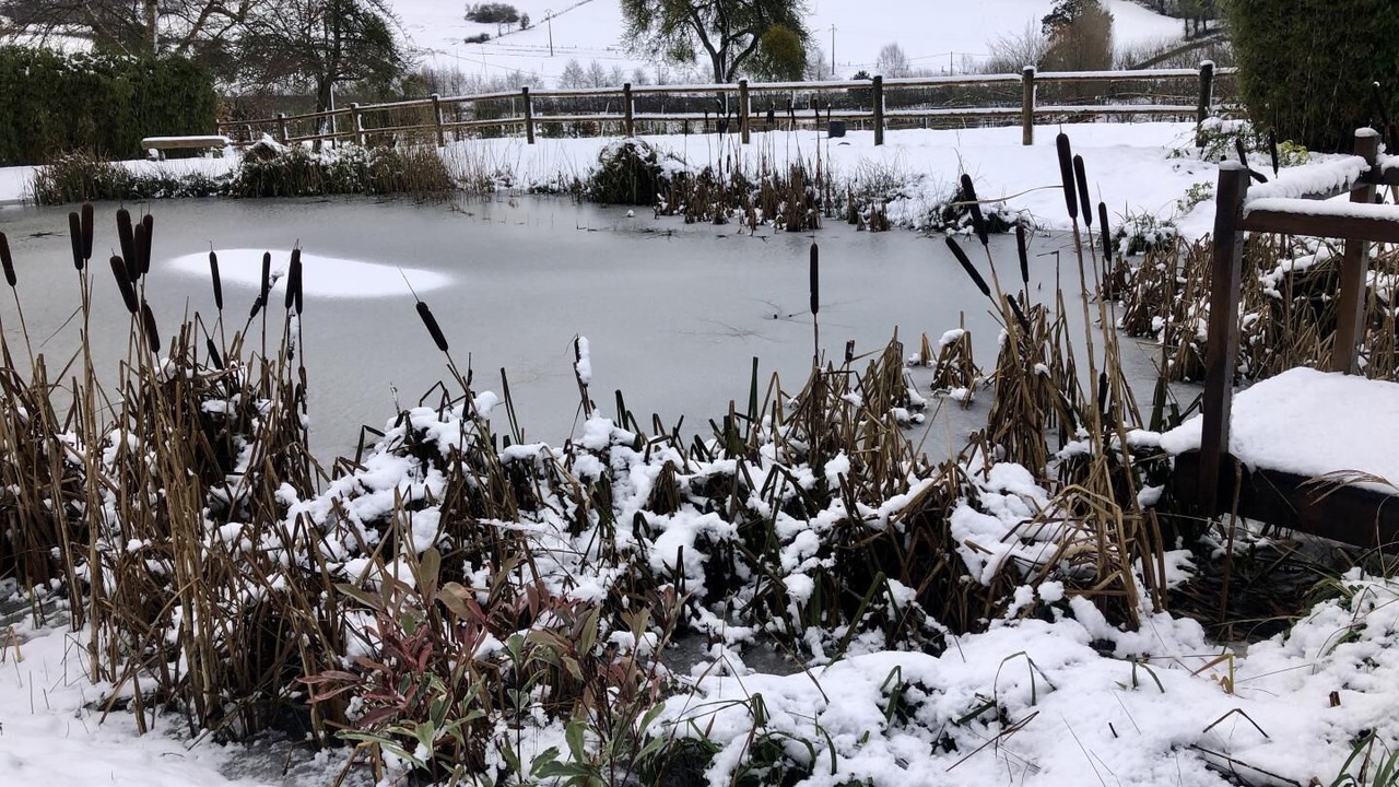 Photo of Outdoor in Aubermesnil-aux-Erables
