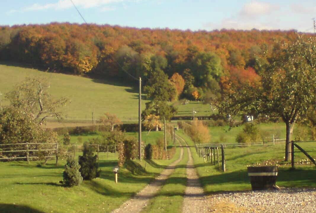 Photo of Others in Aubermesnil-aux-Erables