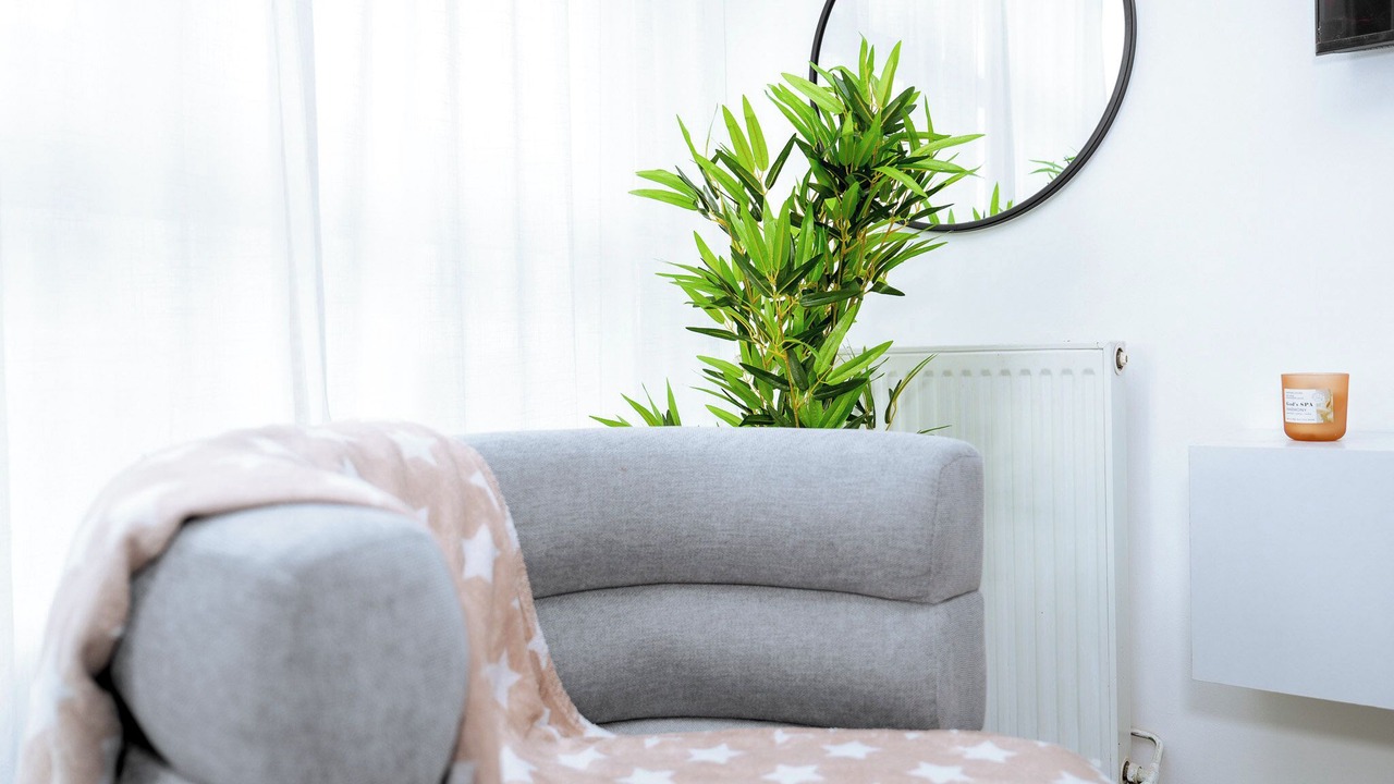 Photo of Livingroom in Plateau — Pyramide