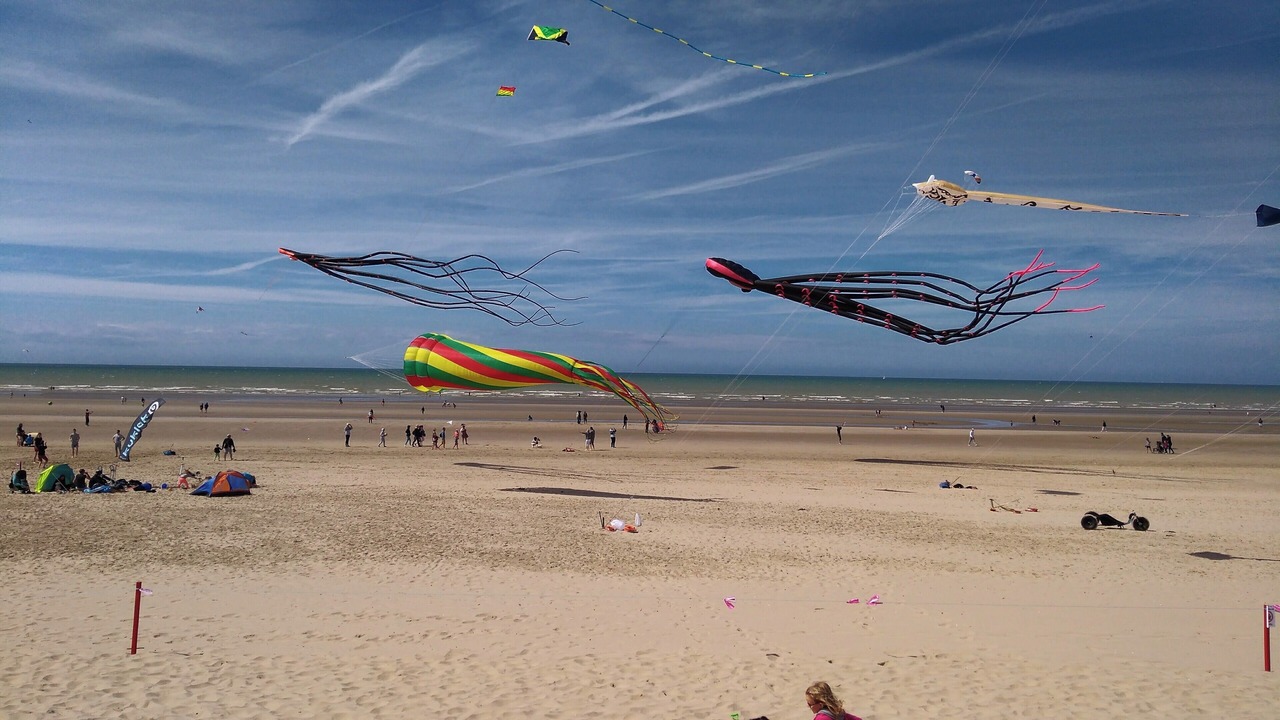 Photo of Others in Bray-Dunes