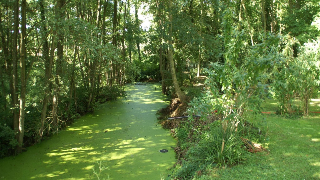 Photo of Others in Mezy-Moulins