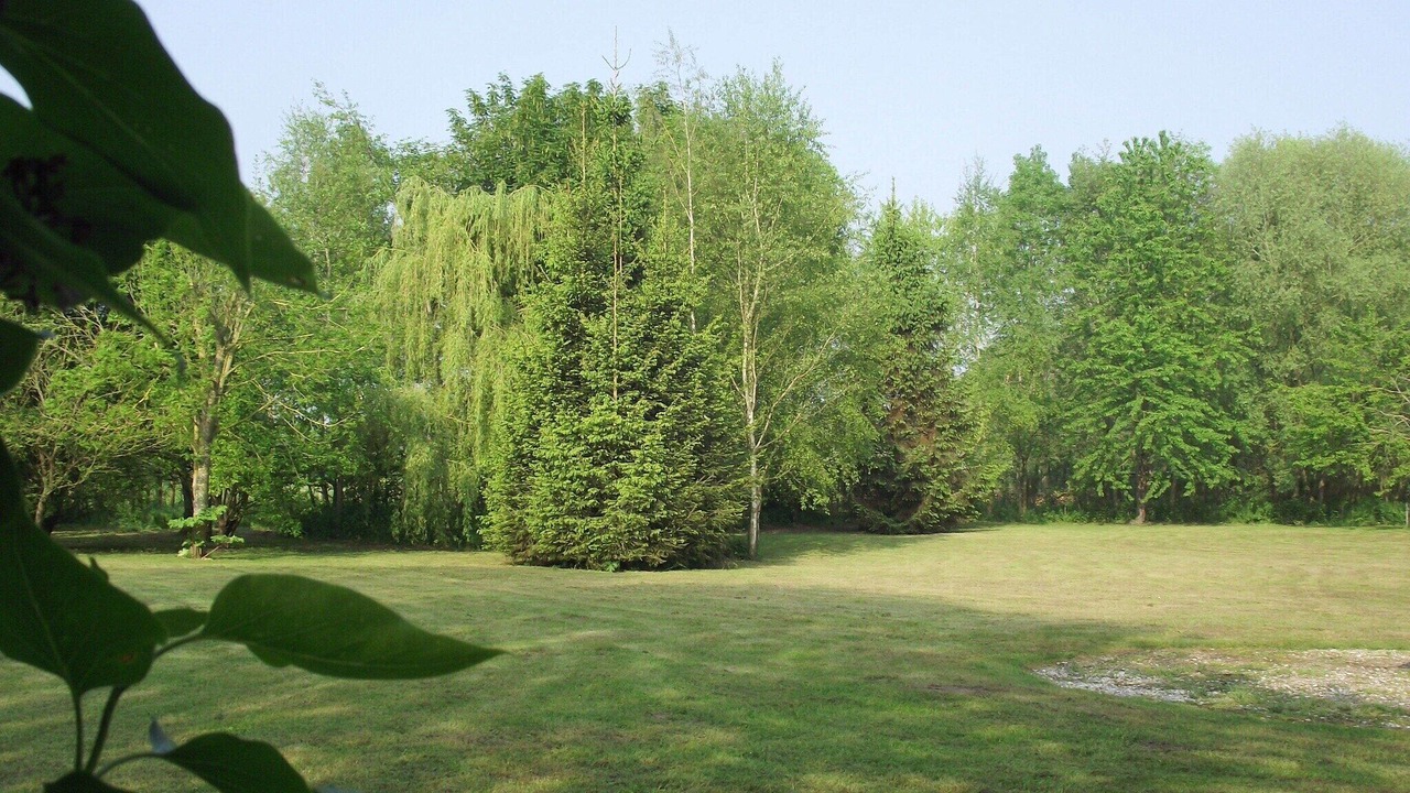 Photo of Outdoor in Quend