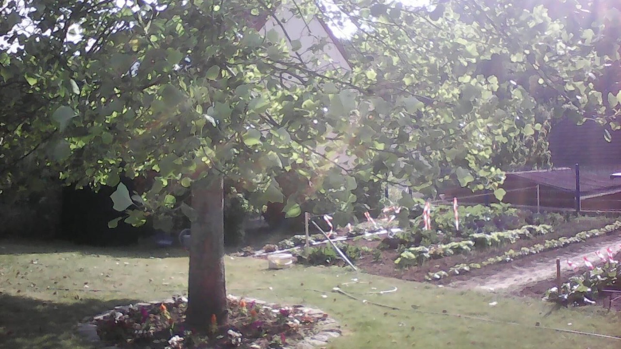 Photo of Outdoor in Berneval-le-Grand