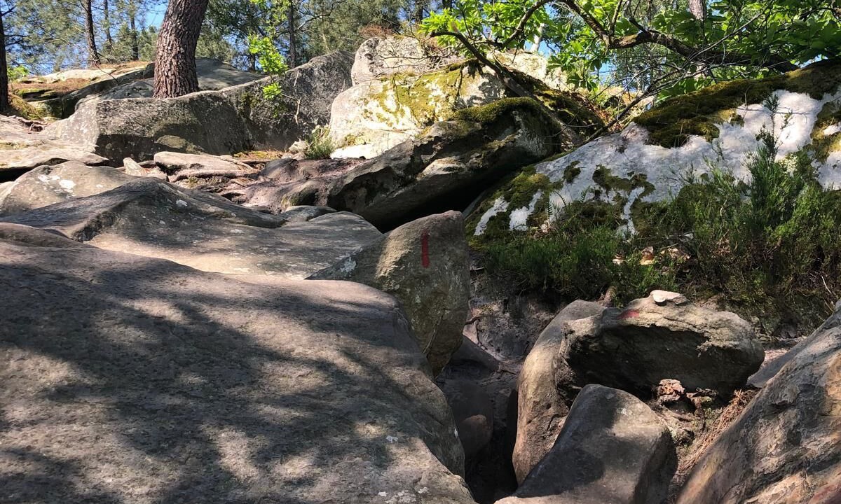 Photo of Others in Fontainebleau