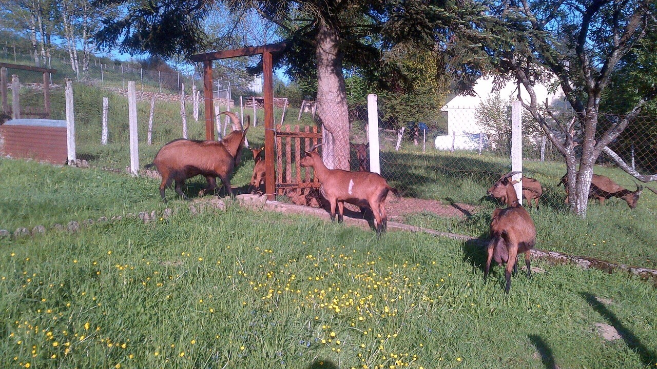 Photo of Outdoor in Cussy-en-Morvan