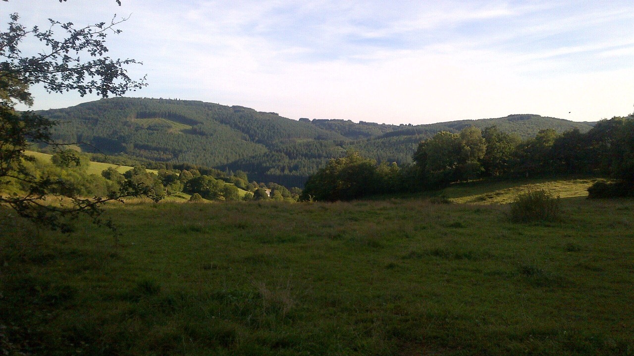 Photo of Outdoor in Cussy-en-Morvan