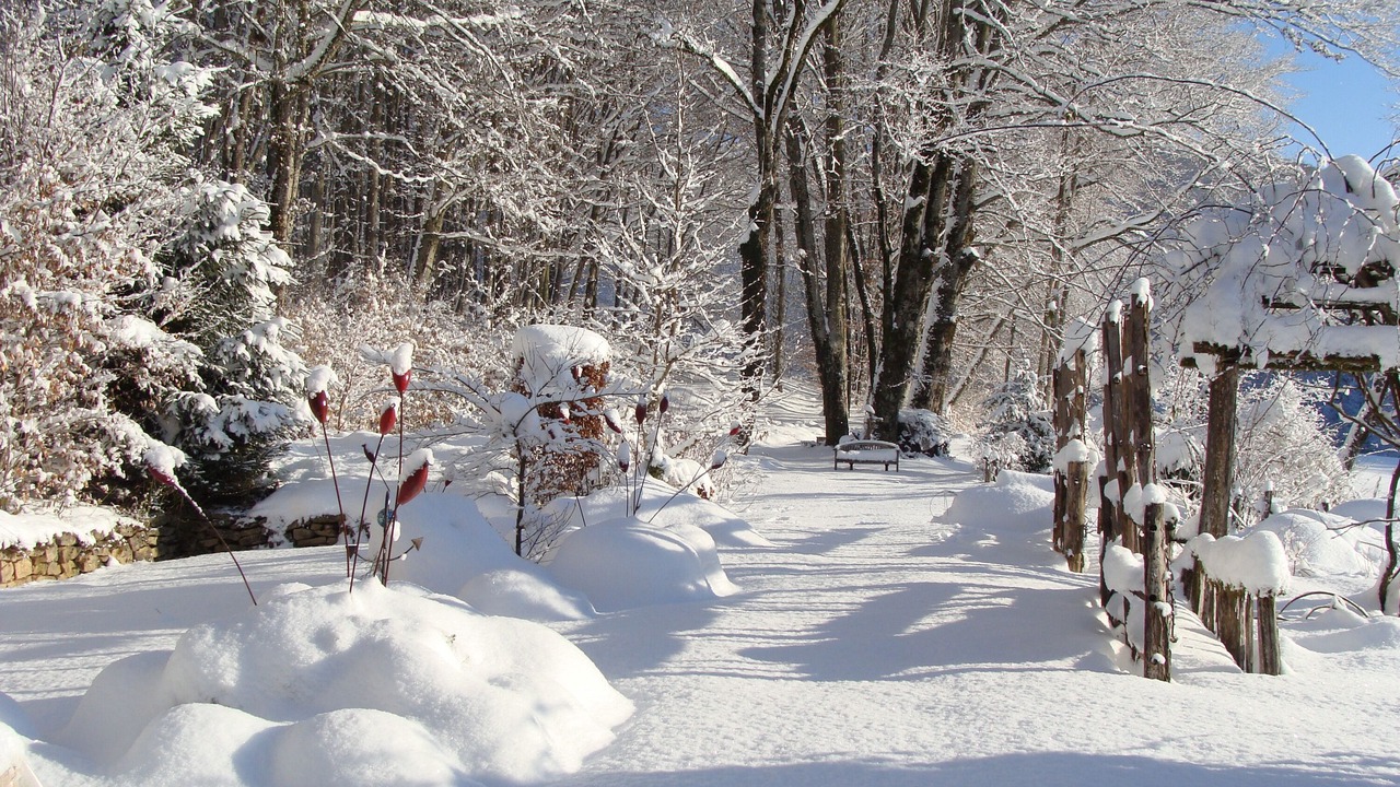 Photo of Outdoor in Rougegoutte