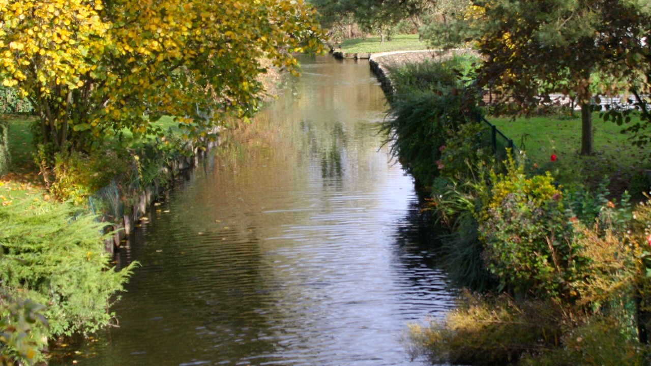 Photo of Others in Amiens