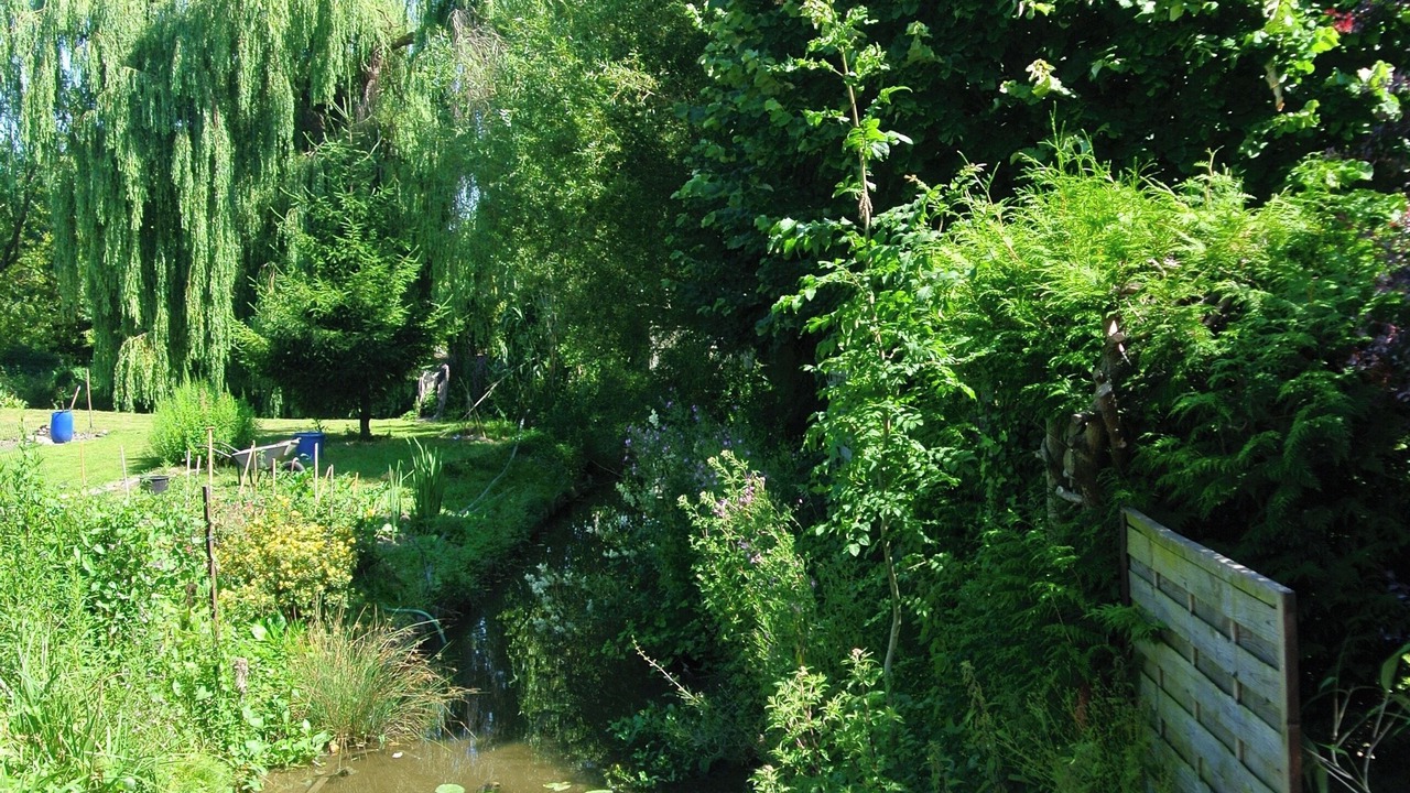 Photo of Outdoor in Amiens