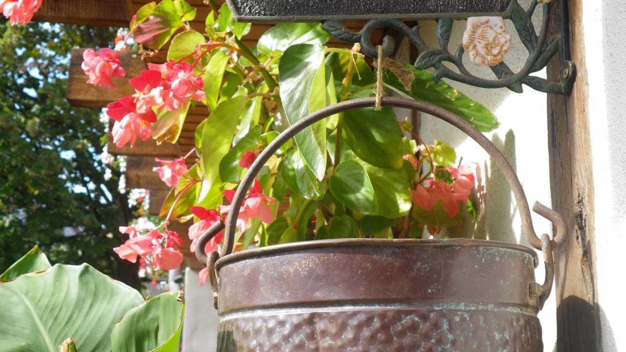 Photo of Outdoor in Kintzheim