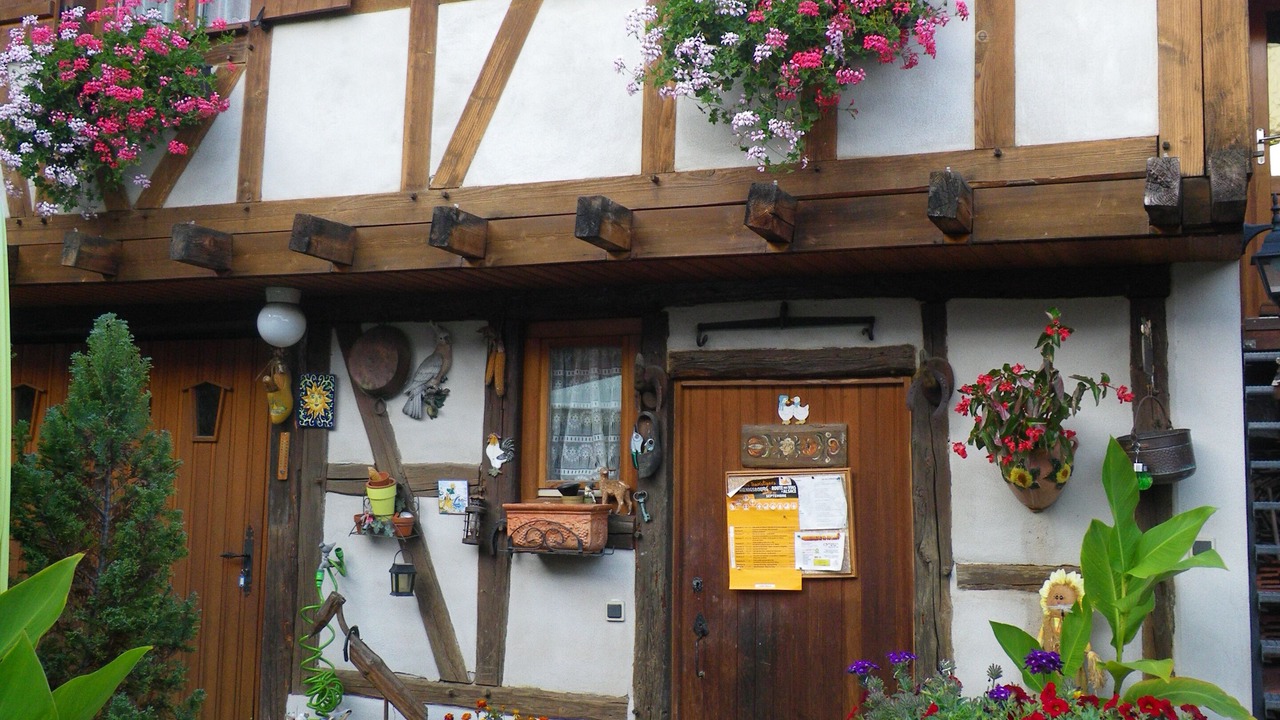 Photo of Outdoor in Kintzheim