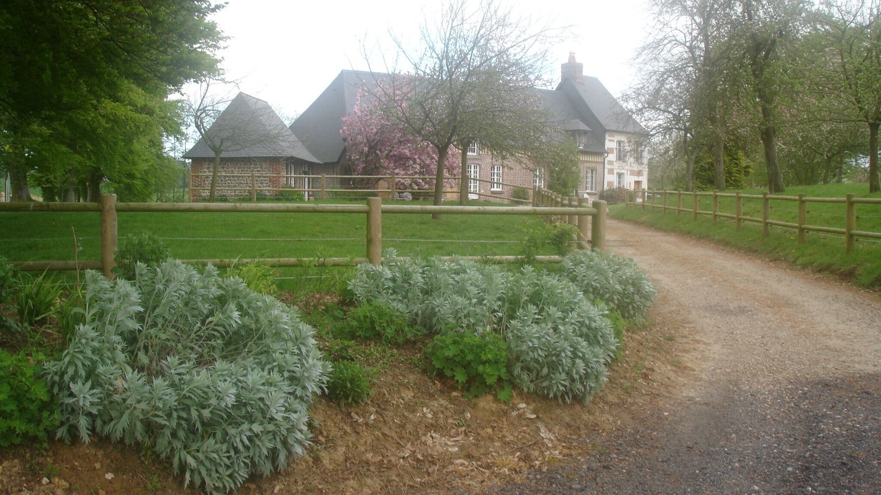 Photo of Outdoor in Bretteville-du-Grand Caux