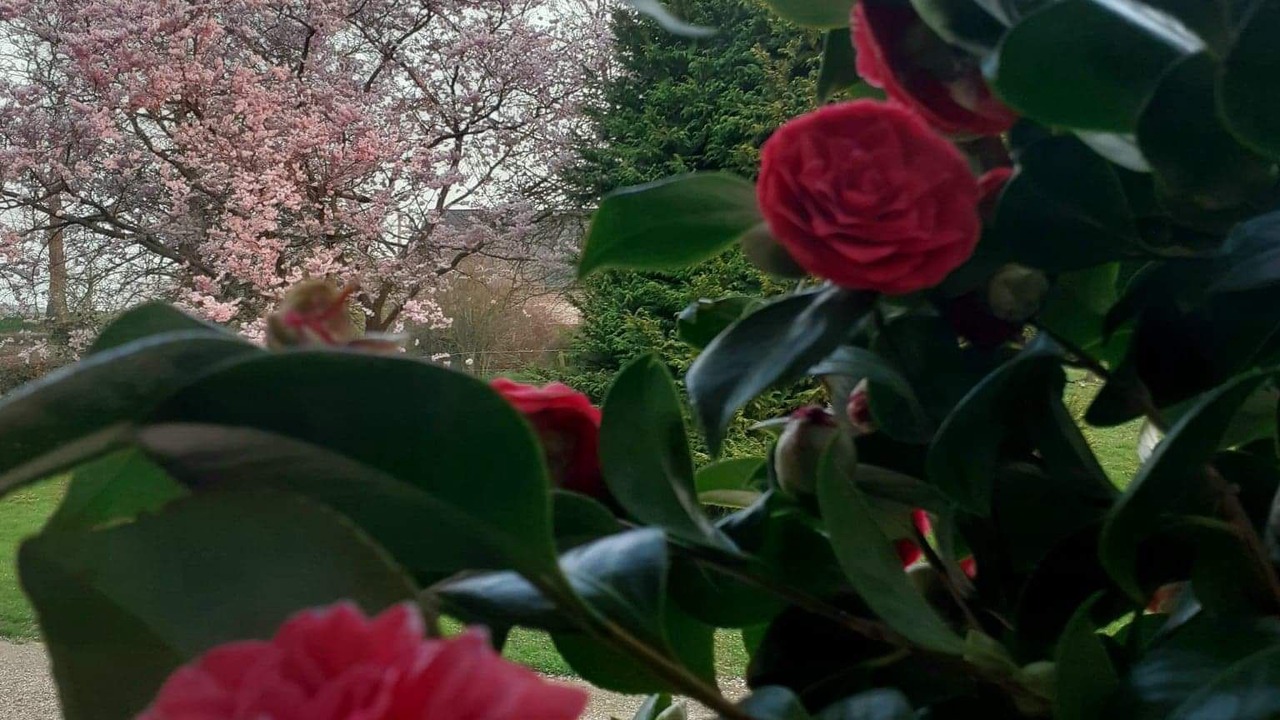 Photo of Outdoor in Bretteville-du-Grand Caux