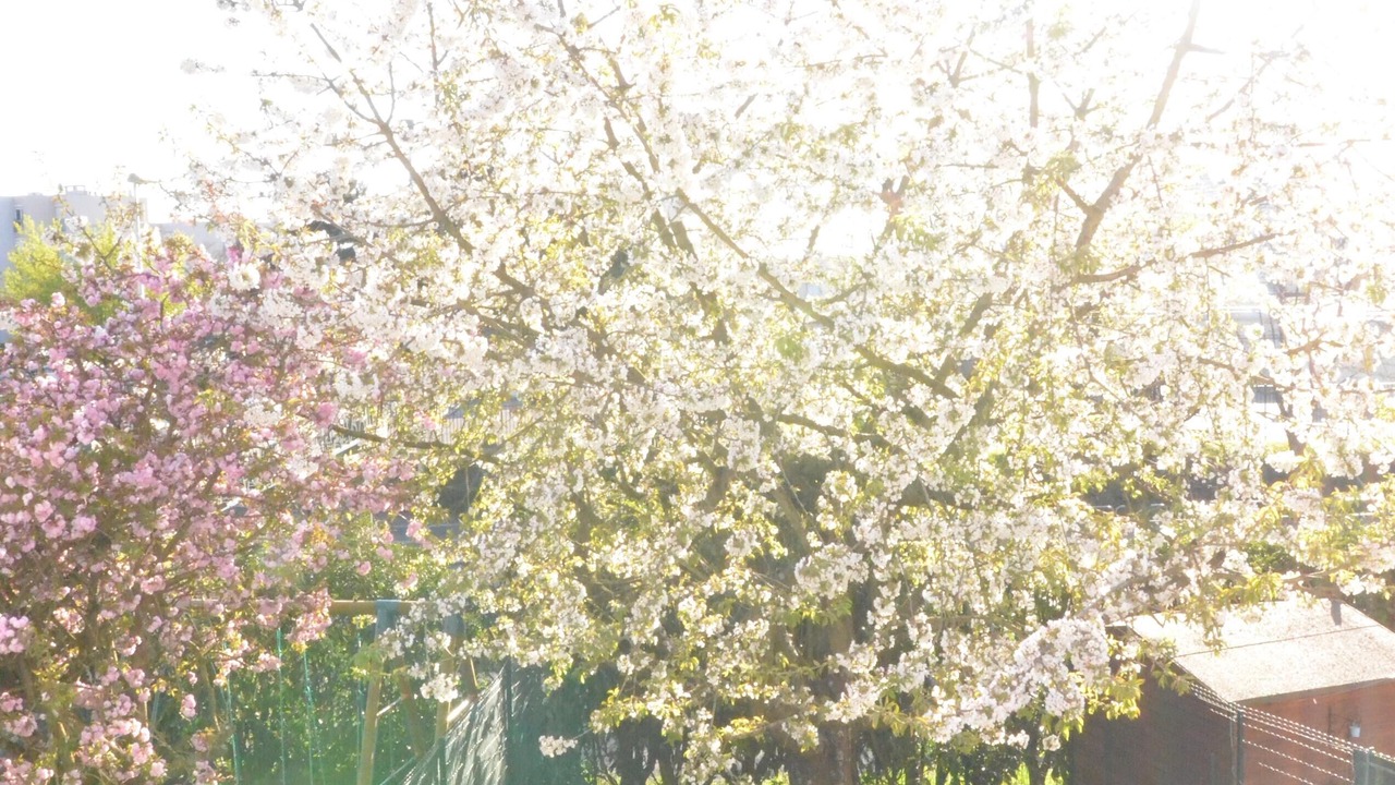 Photo of Outdoor in Torcy