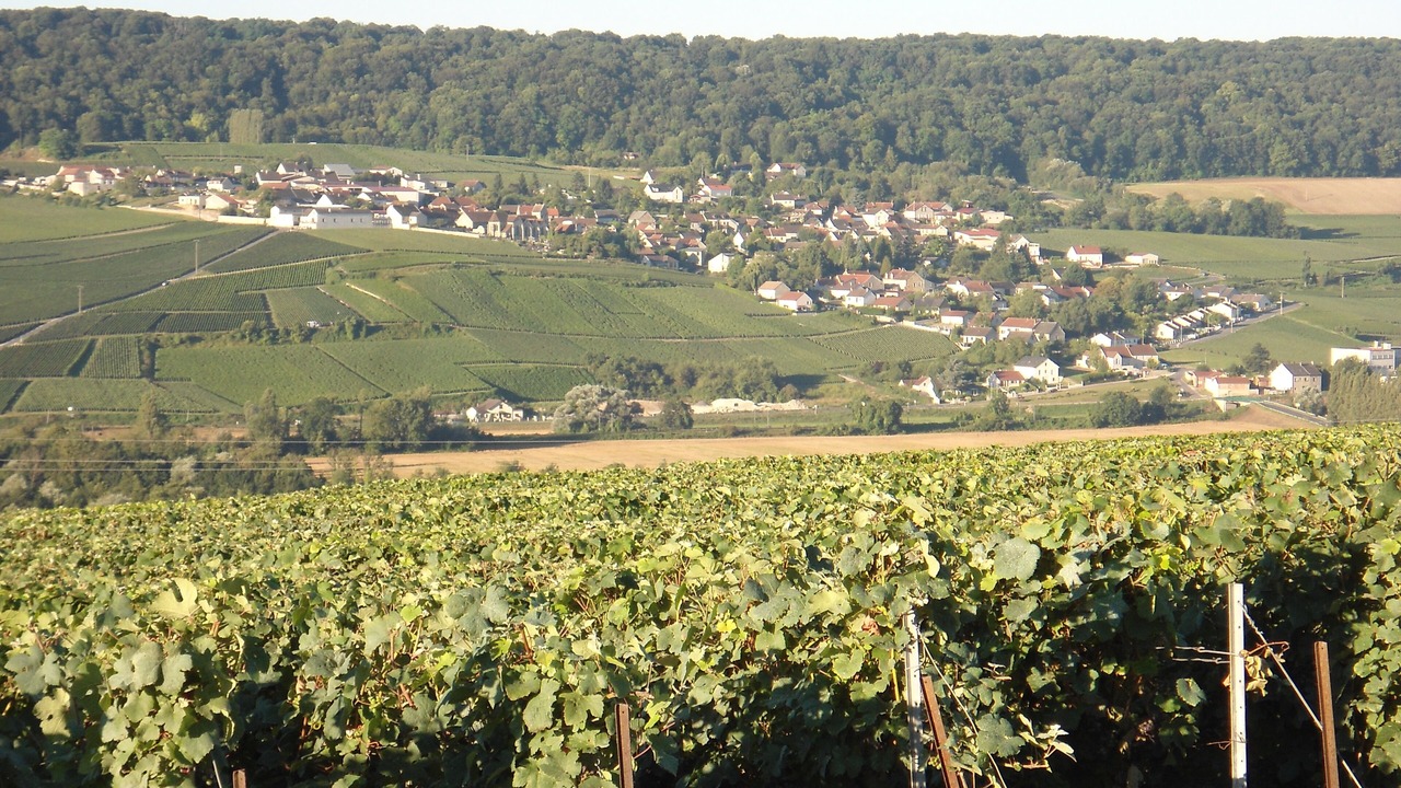 Photo of Outdoor in Oeuilly